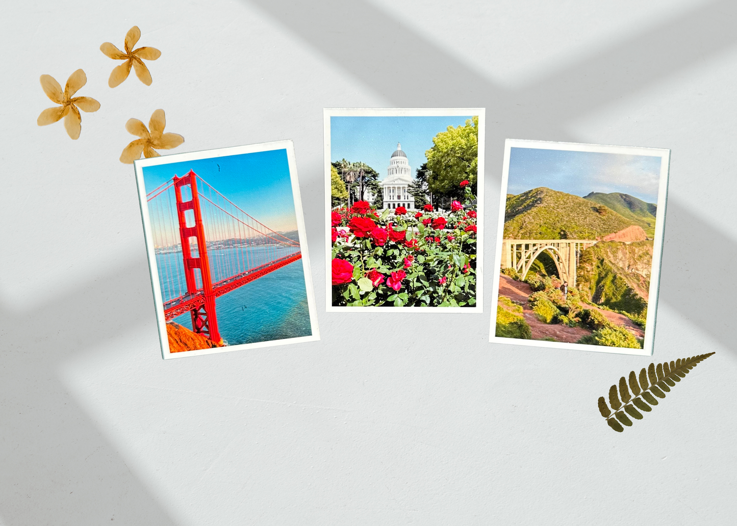 Photo Magnets
