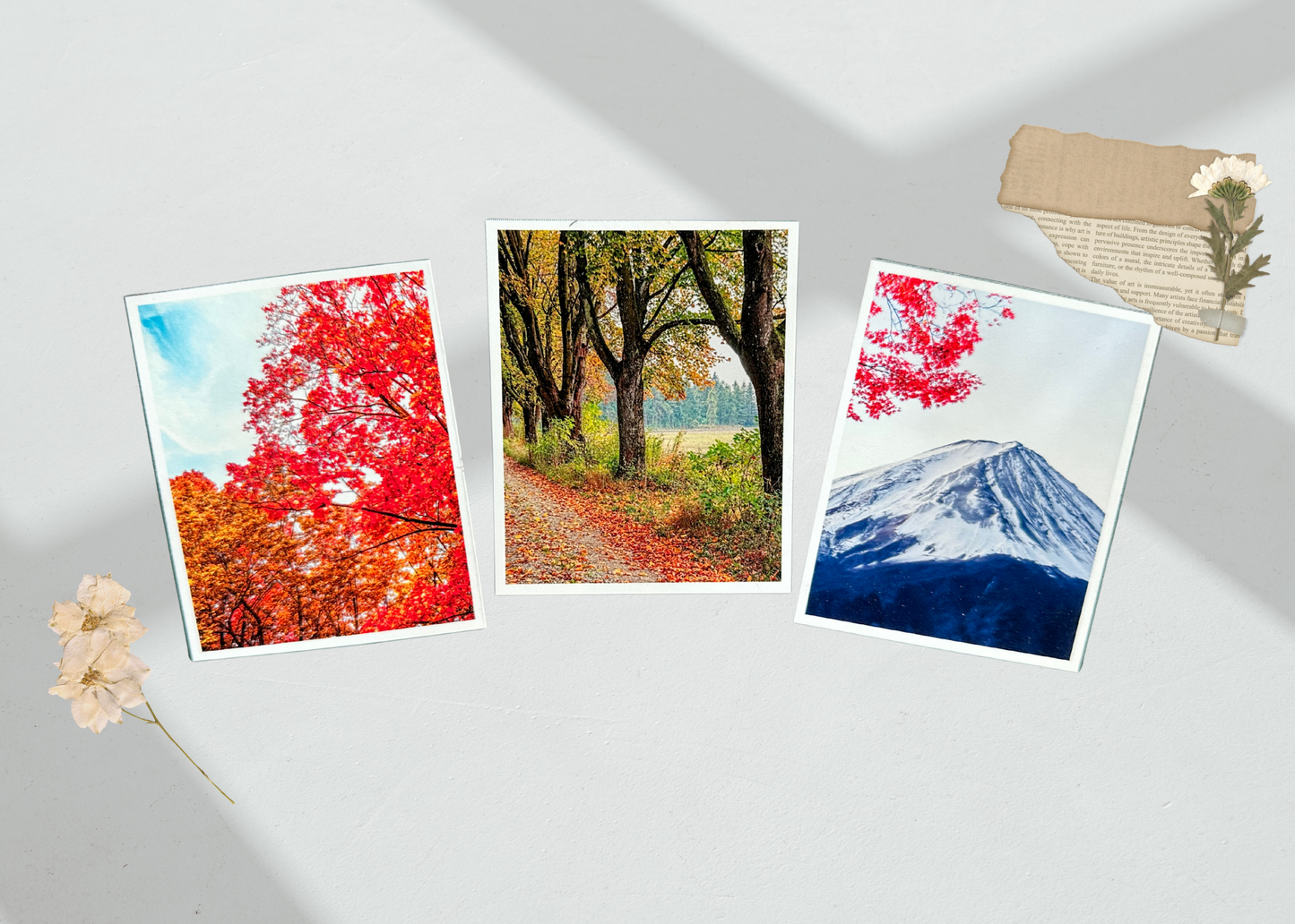 Photo Magnets